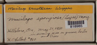 Image Associated With the Occurence